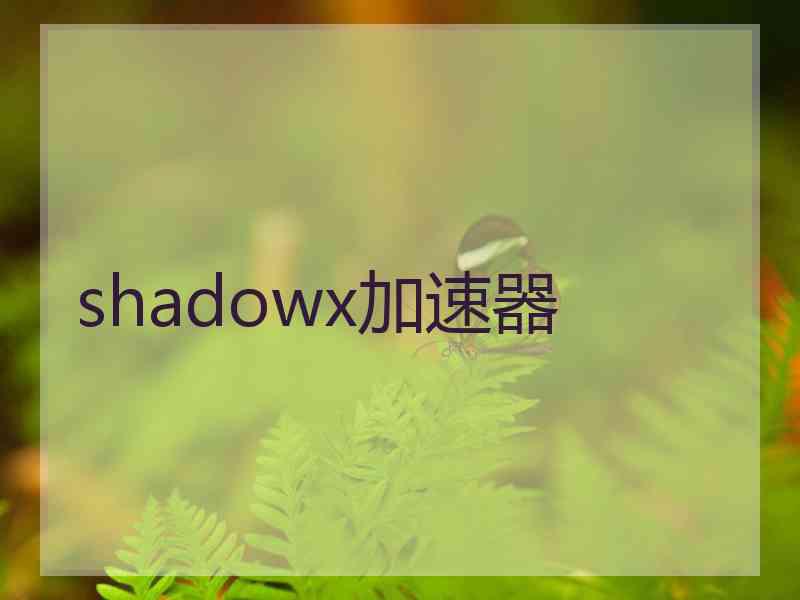 shadowx加速器