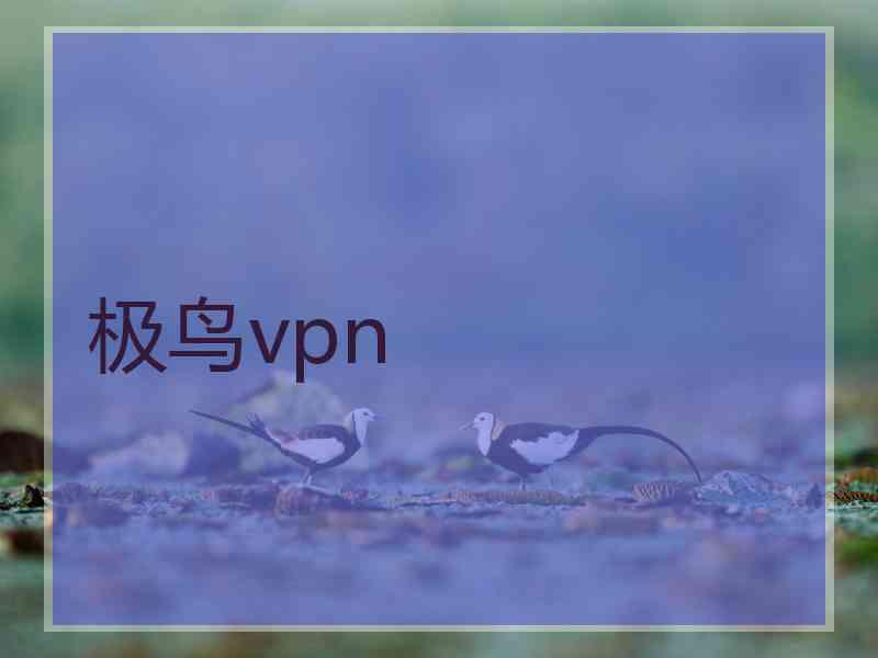 极鸟vpn