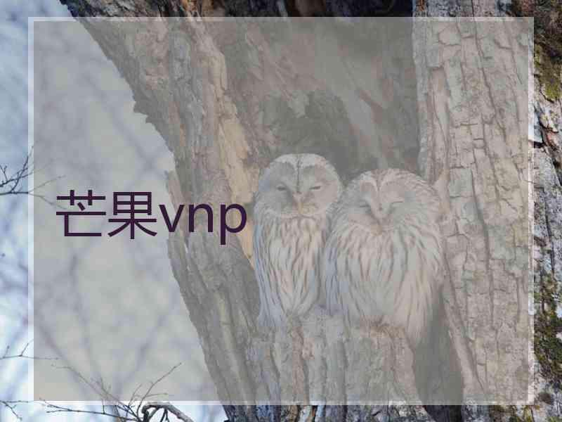 芒果vnp