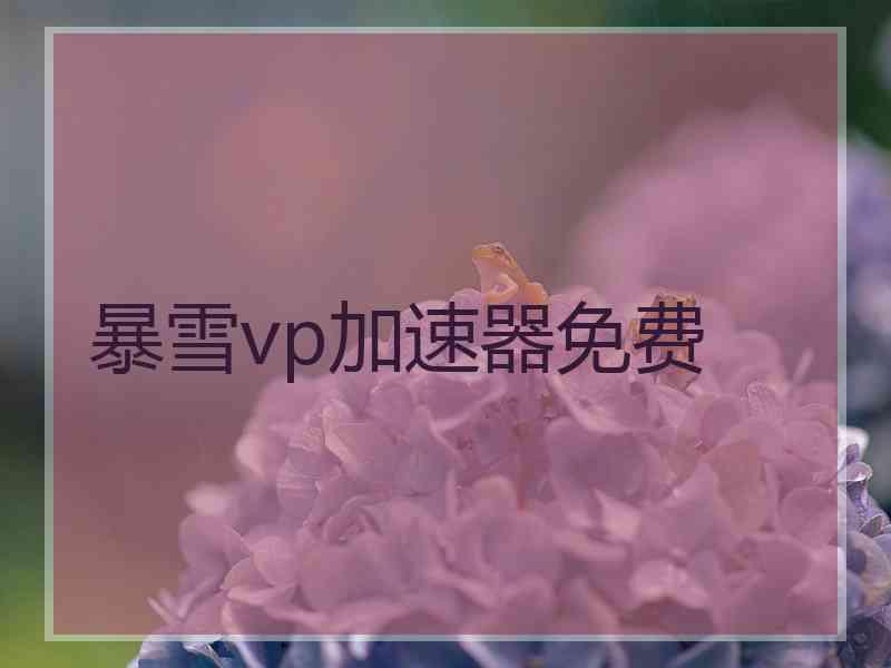 暴雪vp加速器免费