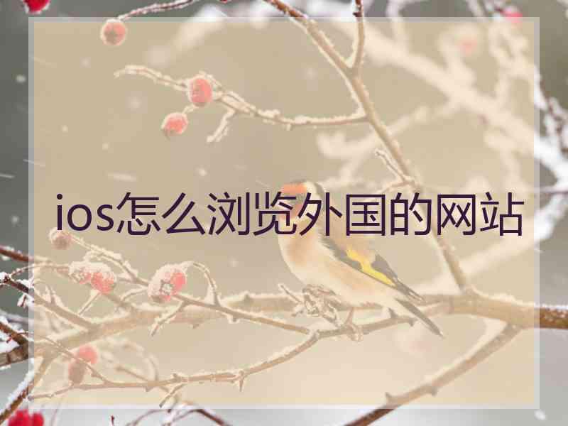 ios怎么浏览外国的网站