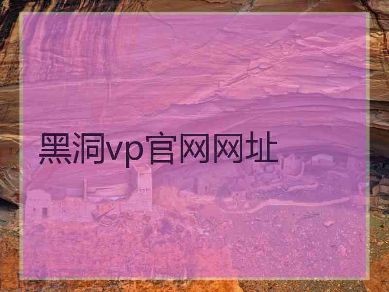 黑洞vp官网网址