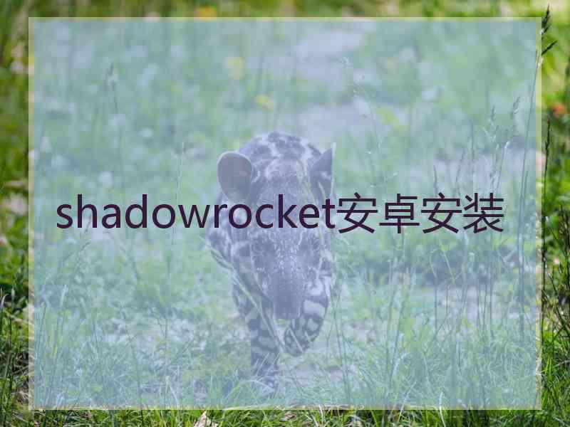 shadowrocket安卓安装