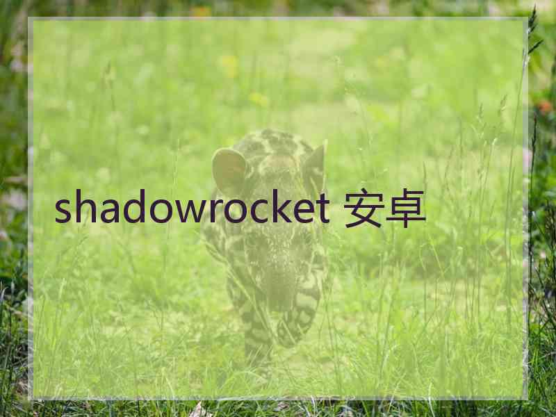 shadowrocket 安卓