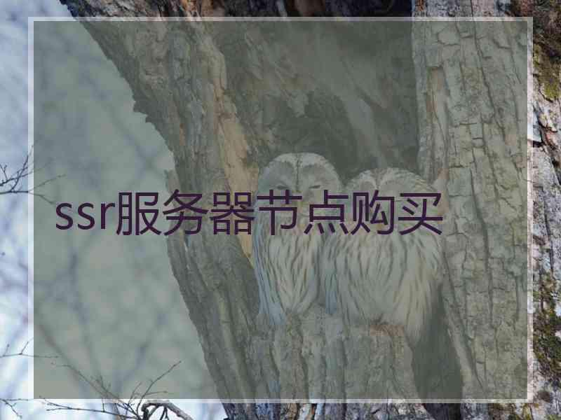 ssr服务器节点购买