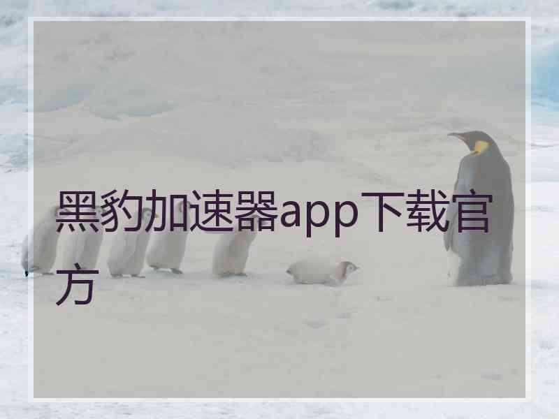 黑豹加速器app下载官方