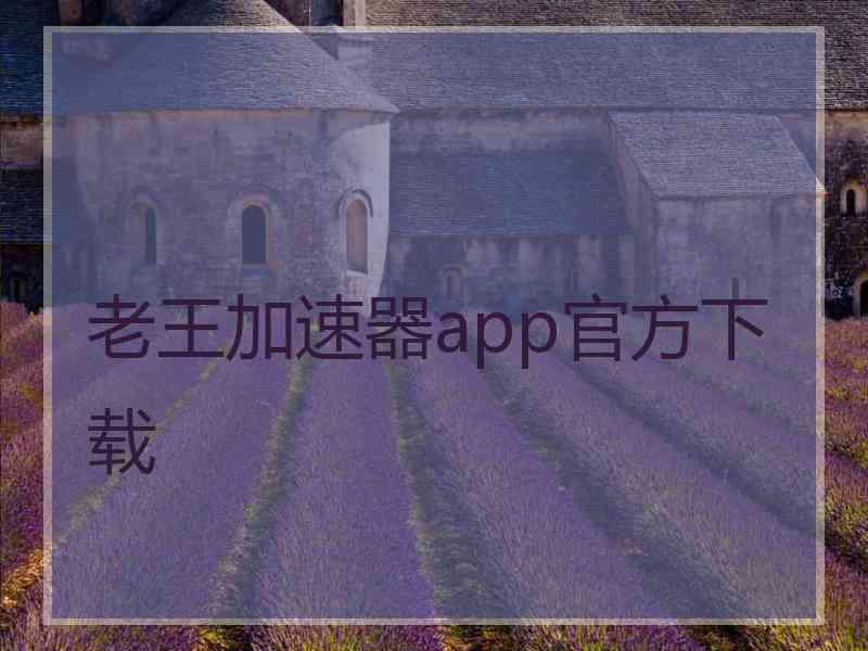 老王加速器app官方下载