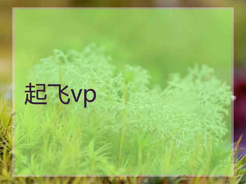 起飞vp