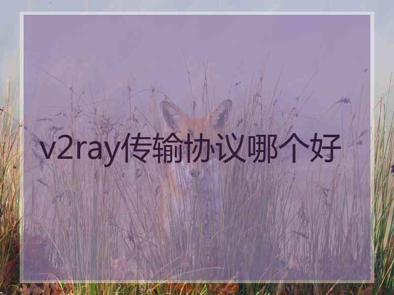 v2ray传输协议哪个好