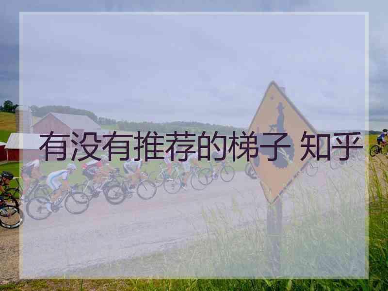 有没有推荐的梯子 知乎