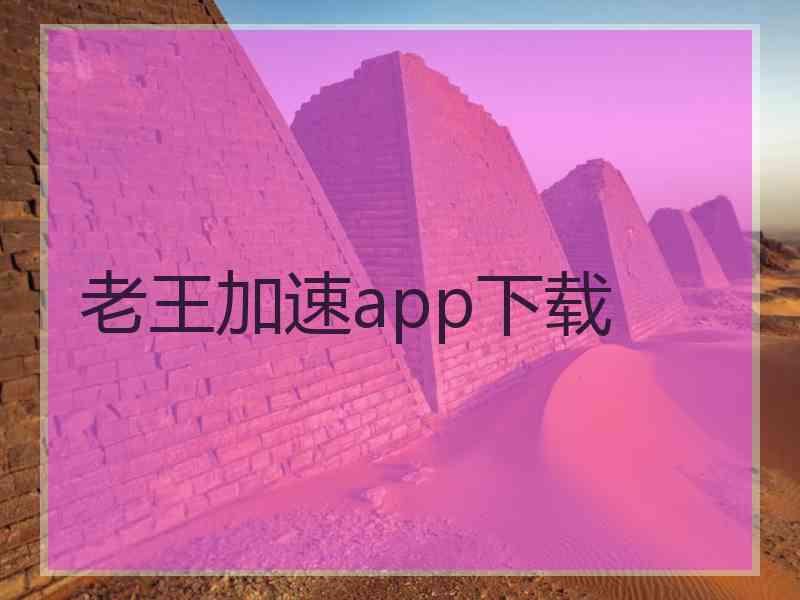 老王加速app下载