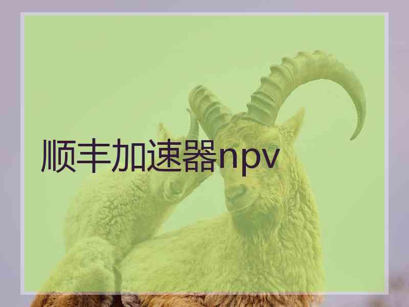 顺丰加速器npv