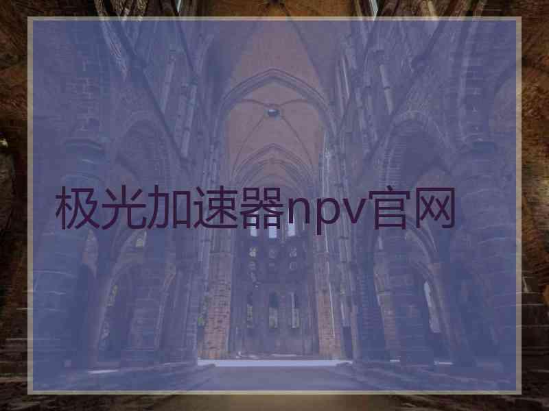 极光加速器npv官网