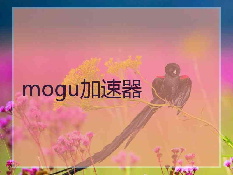 mogu加速器