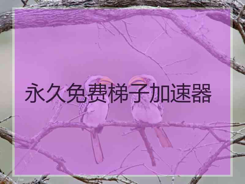永久免费梯子加速器