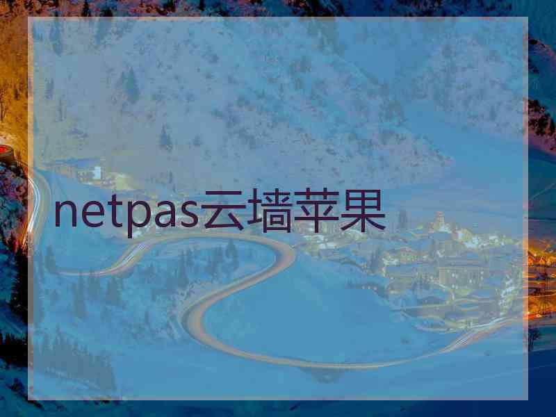 netpas云墙苹果