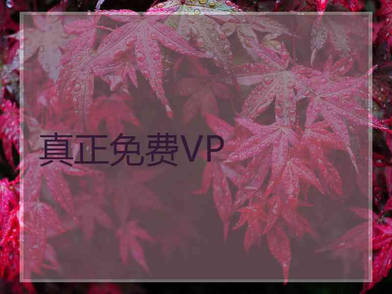 真正免费VP