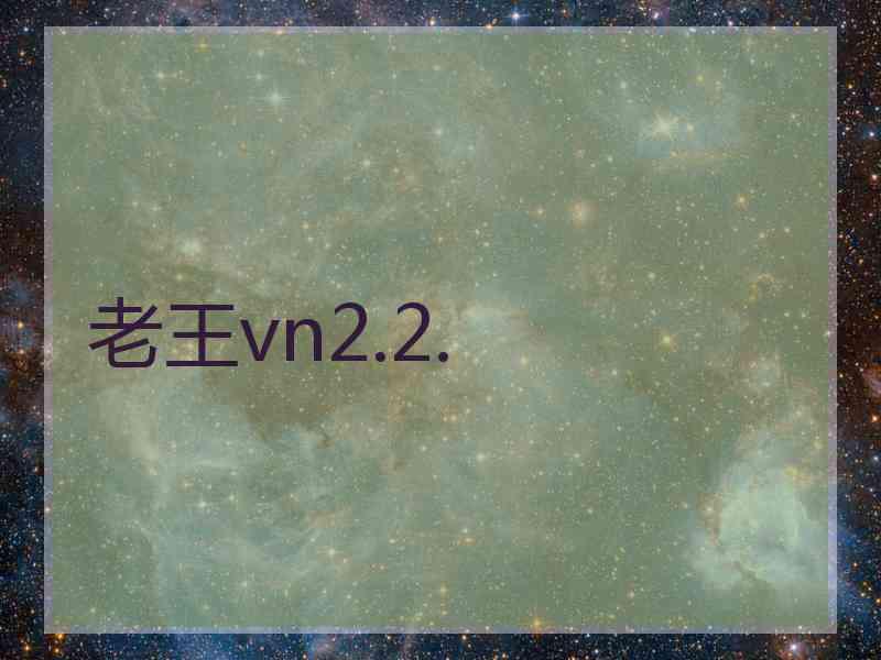 老王vn2.2.