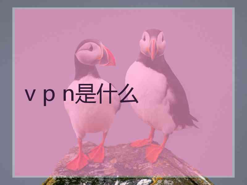 v p n是什么