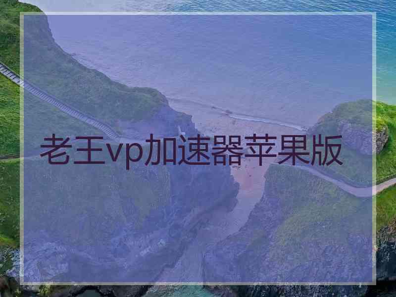 老王vp加速器苹果版