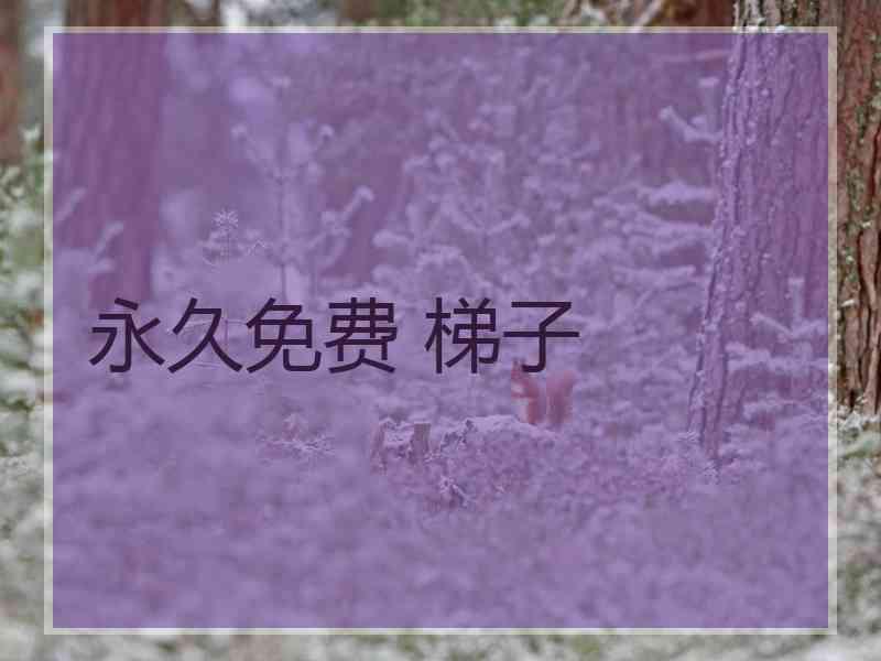 永久免费 梯子