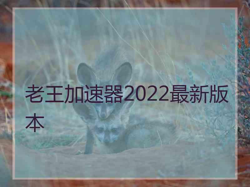 老王加速器2022最新版本