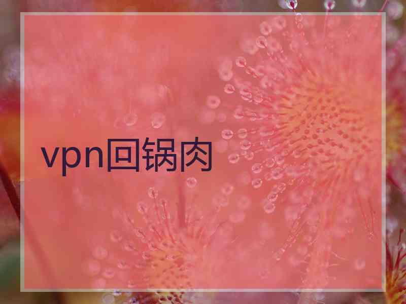 vpn回锅肉