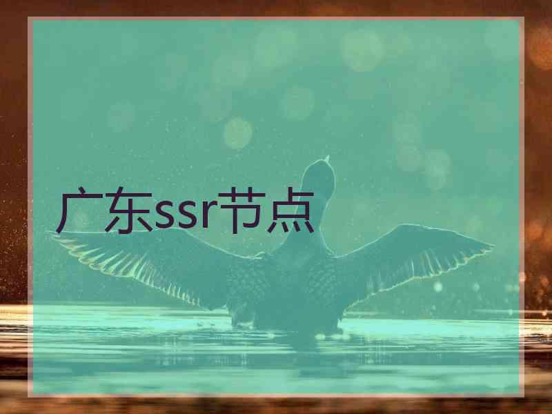 广东ssr节点