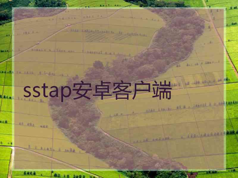 sstap安卓客户端