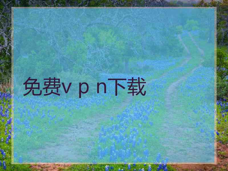 免费v p n下载