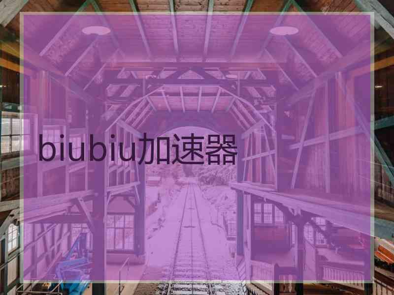 biubiu加速器