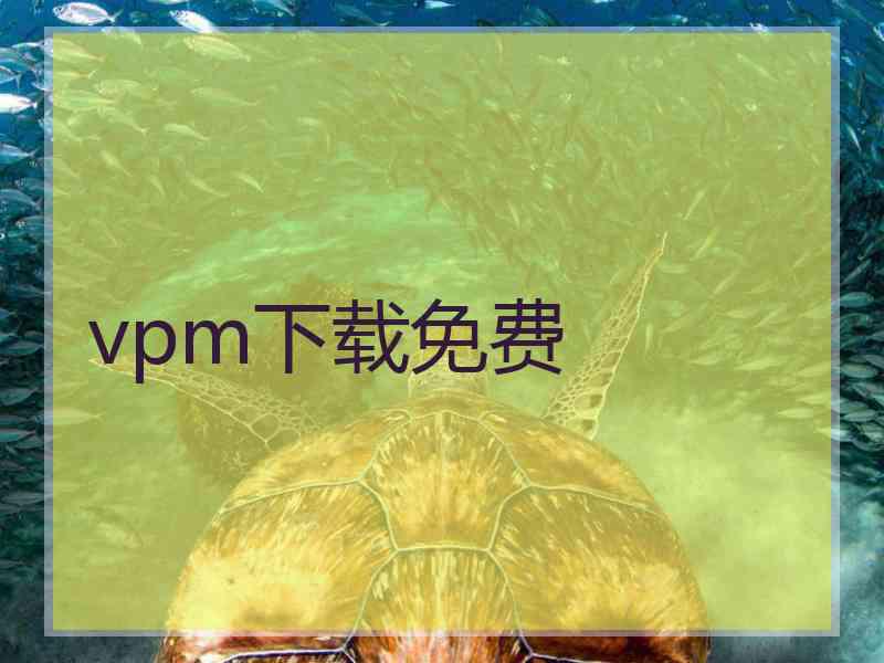 vpm下载免费