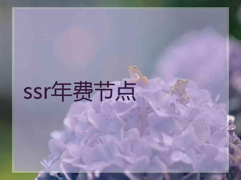 ssr年费节点