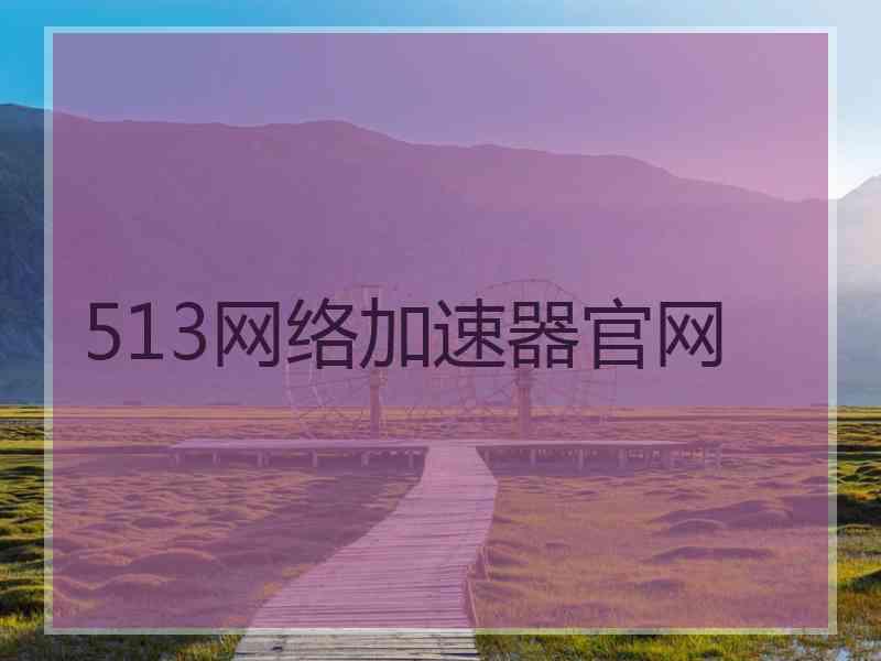 513网络加速器官网