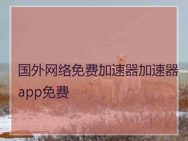 国外网络免费加速器加速器app免费