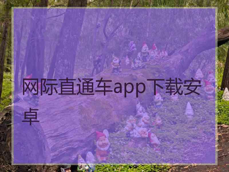 网际直通车app下载安卓