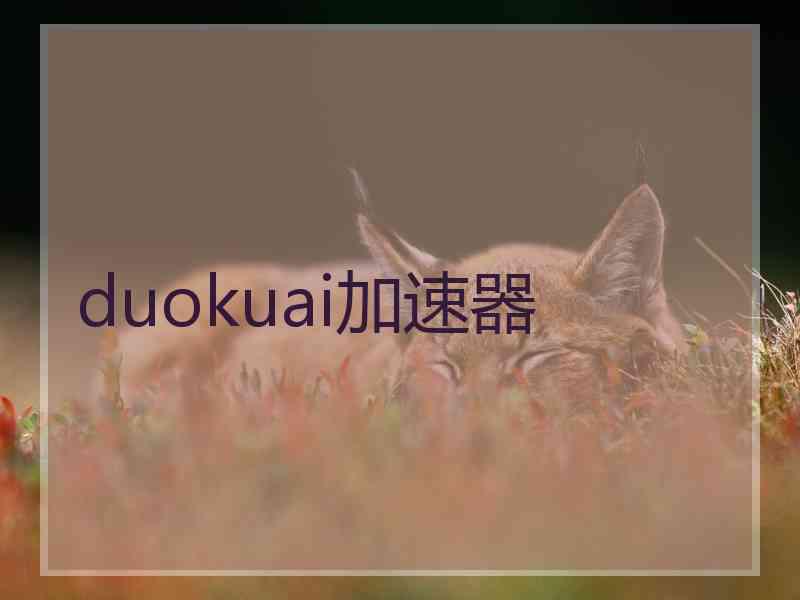 duokuai加速器