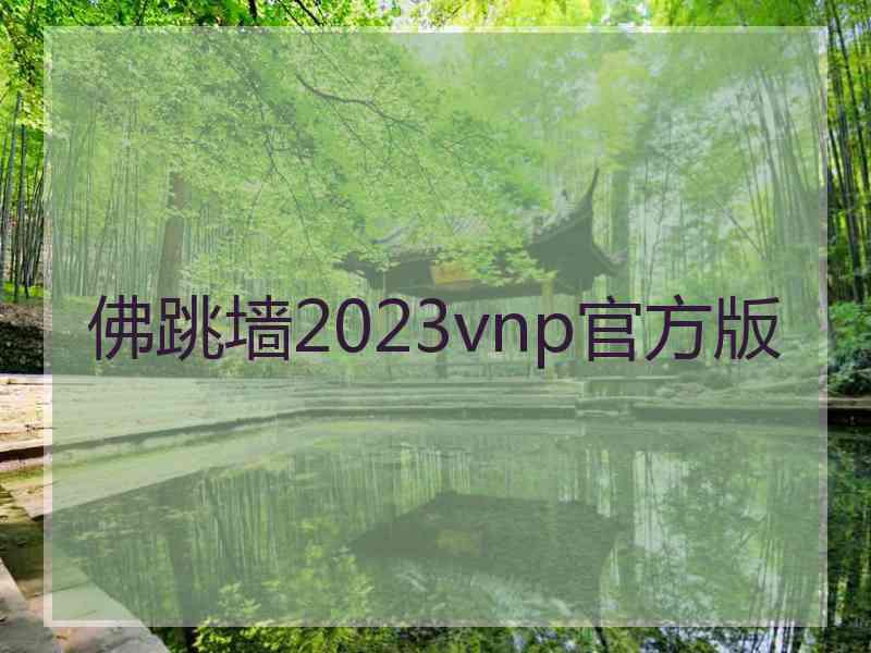 佛跳墙2023vnp官方版