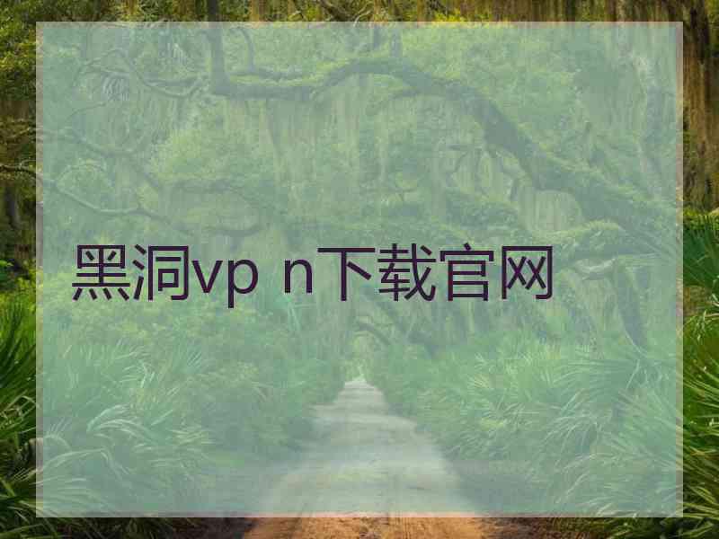 黑洞vp n下载官网