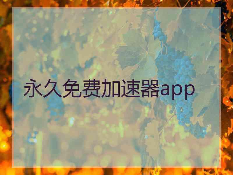 永久免费加速器app