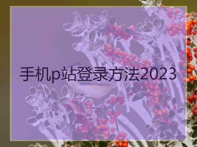 手机p站登录方法2023