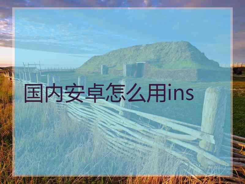 国内安卓怎么用ins