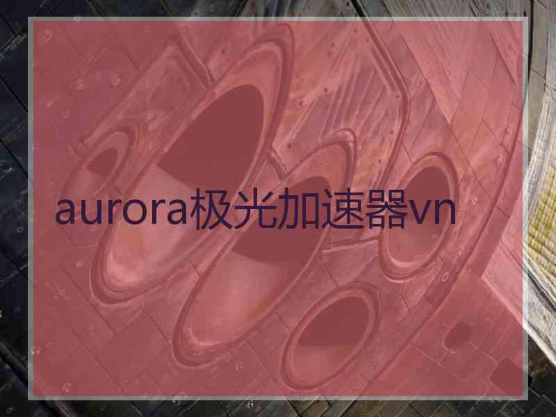 aurora极光加速器vn