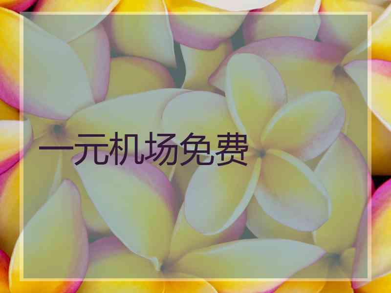 一元机场免费