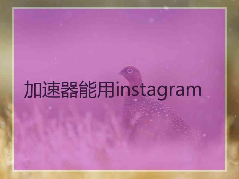 加速器能用instagram