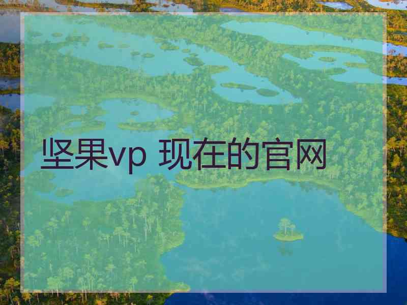 坚果vp 现在的官网