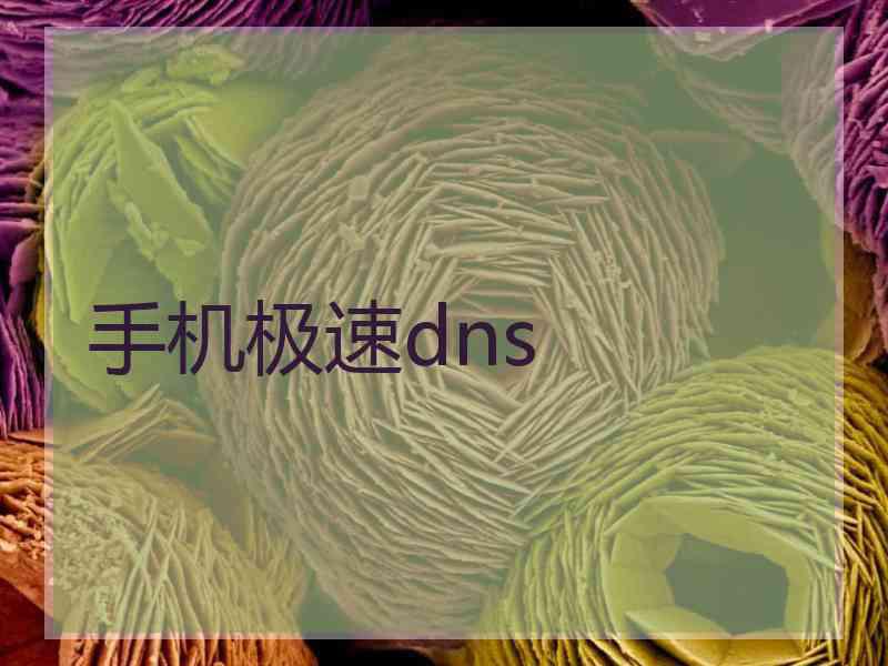 手机极速dns