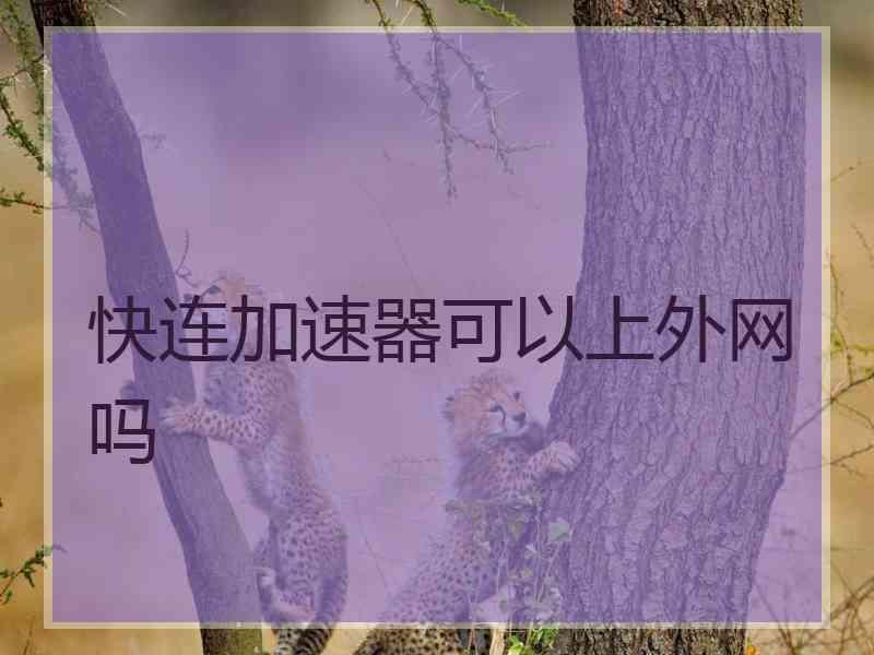 快连加速器可以上外网吗