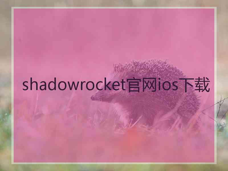 shadowrocket官网ios下载