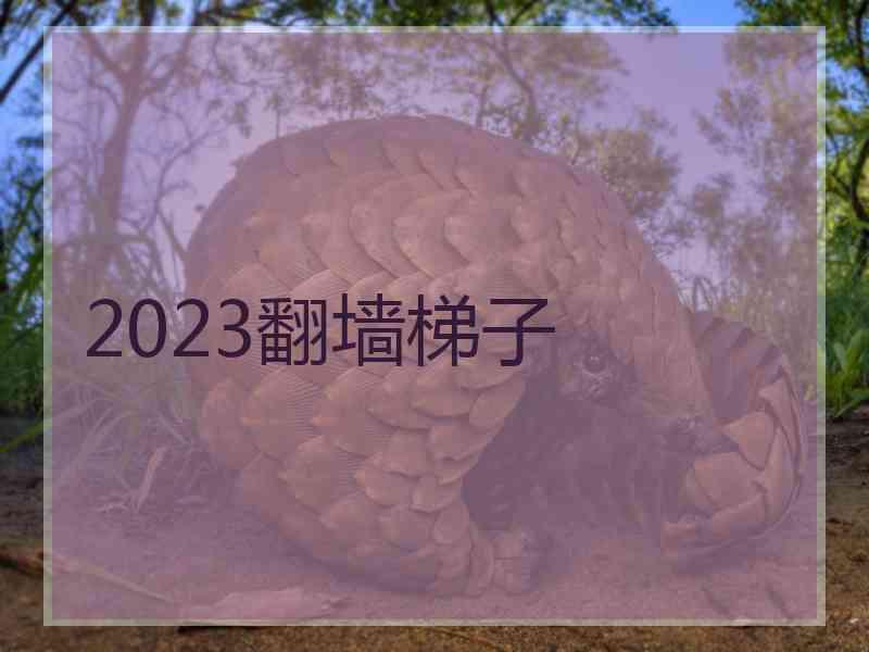 2023翻墙梯子